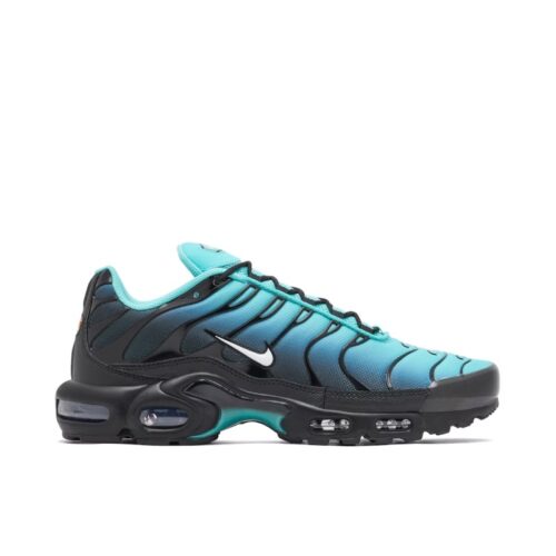Nike Air Max Plus TN Light Retro DM0032-401 czarne buty z siateczką